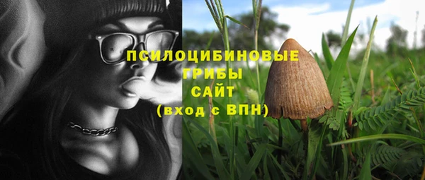 2c-b Алзамай