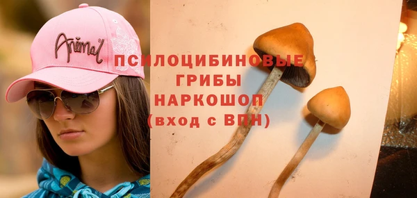 гашик Алексин