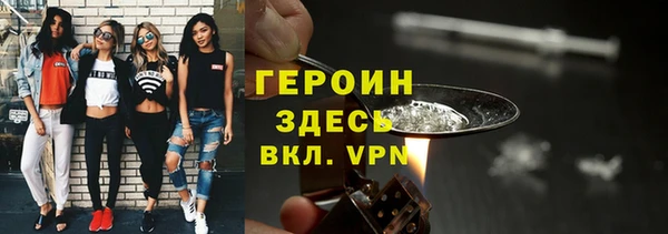 гашик Алексин