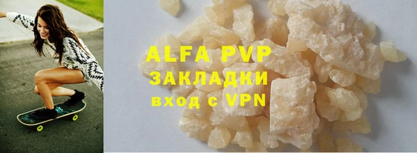 гашик Алексин