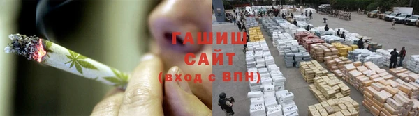 гашик Алексин