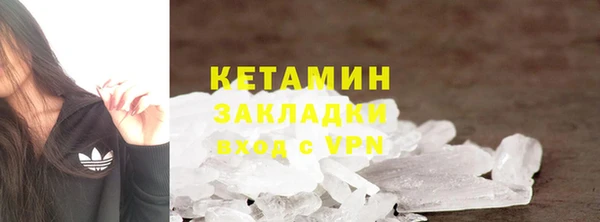 гашик Алексин