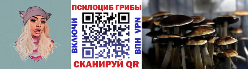 Псилоцибиновые грибы Cubensis  цены   Усть-Илимск 