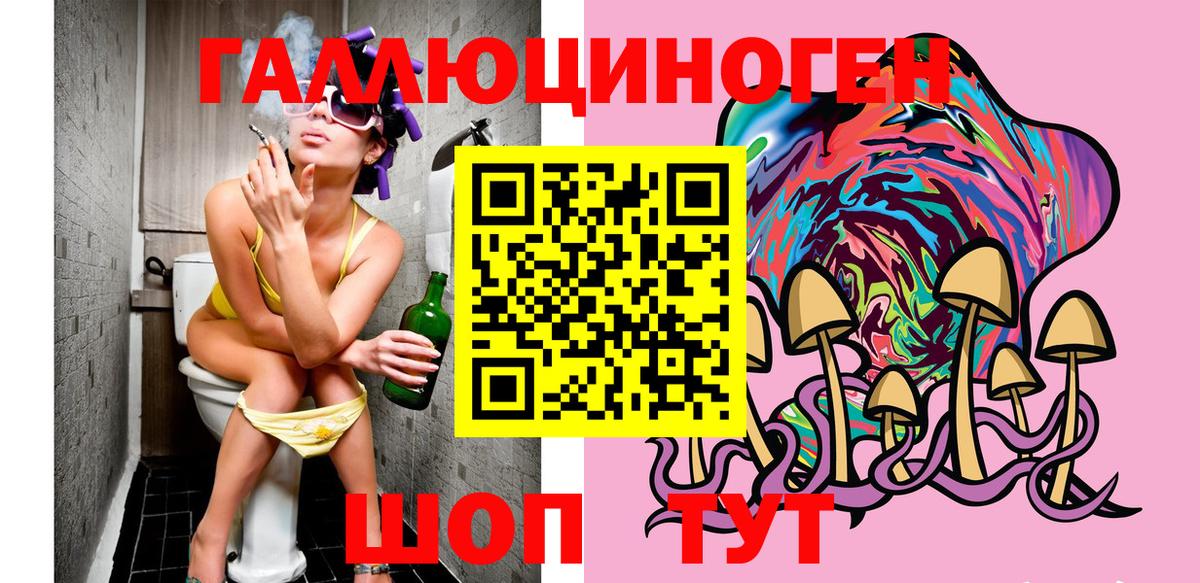 Псилоцибиновые грибы Psilocybine cubensis  Вход с VPN  Усть-Илимск 
