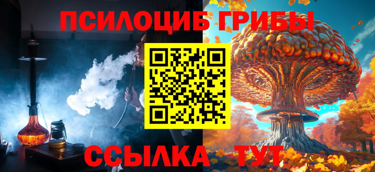 Галлюциногенные грибы Cubensis Усть-Илимск